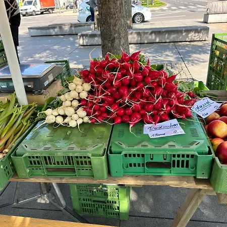 Sonnenloft - Zentrales, Helles Boho-apartement Im Herzen Von *