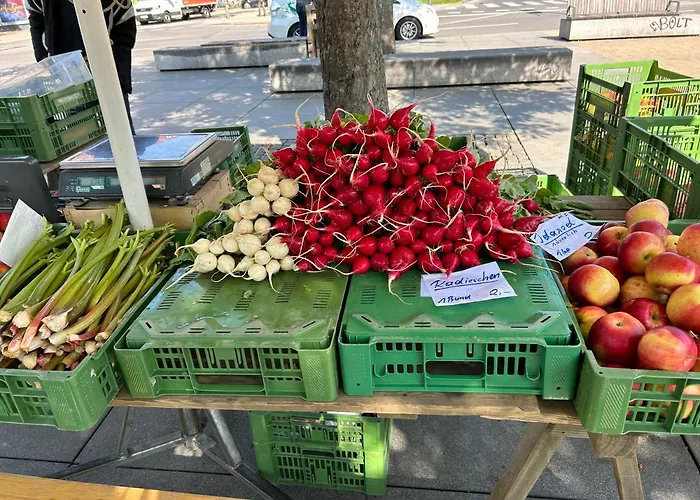 Sonnenloft - Zentrales, Helles Boho-apartement Im Herzen Von *